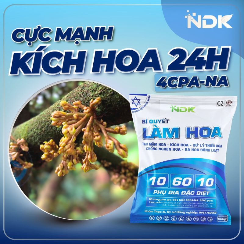 bí quyết làm hoa ndk