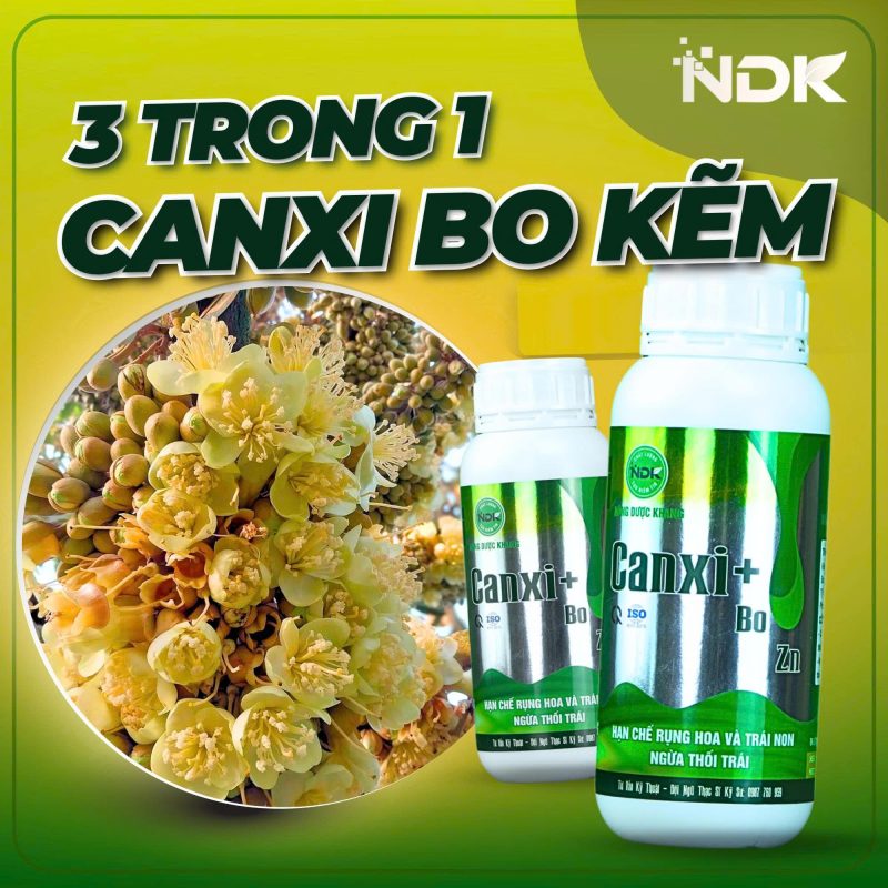canxi bo kẽm ndk