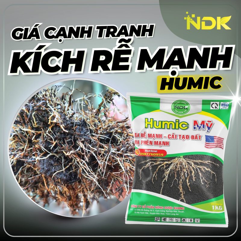 humic mỹ ndk